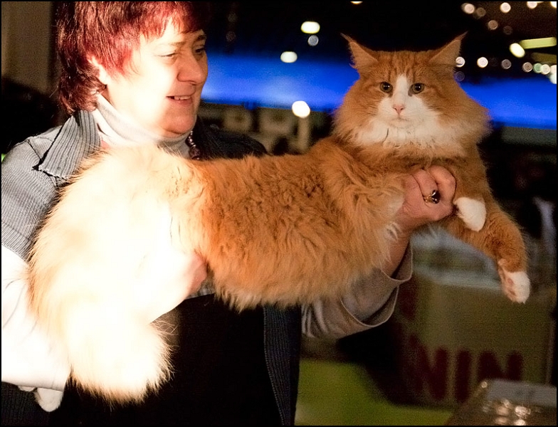 Erving du Valldall 2.jpg - Erving du Valldall